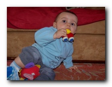 cliquer pour agrandir