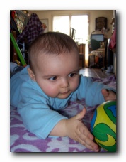 cliquer pour agrandir