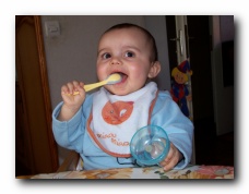 cliquer pour agrandir