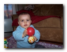 cliquer pour agrandir