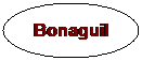 Ellipse: Bonaguil
