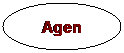 Ellipse: Agen

