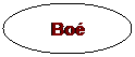 Ellipse: Bo

