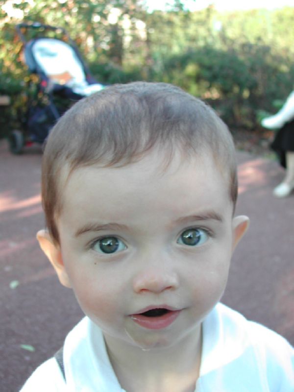 600 X 800
