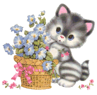 Bienvenue