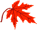 feuille