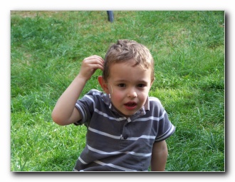 Cliquer pour agrandir