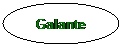 Ellipse: Galante
