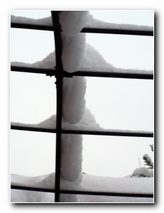 Click to enlarge