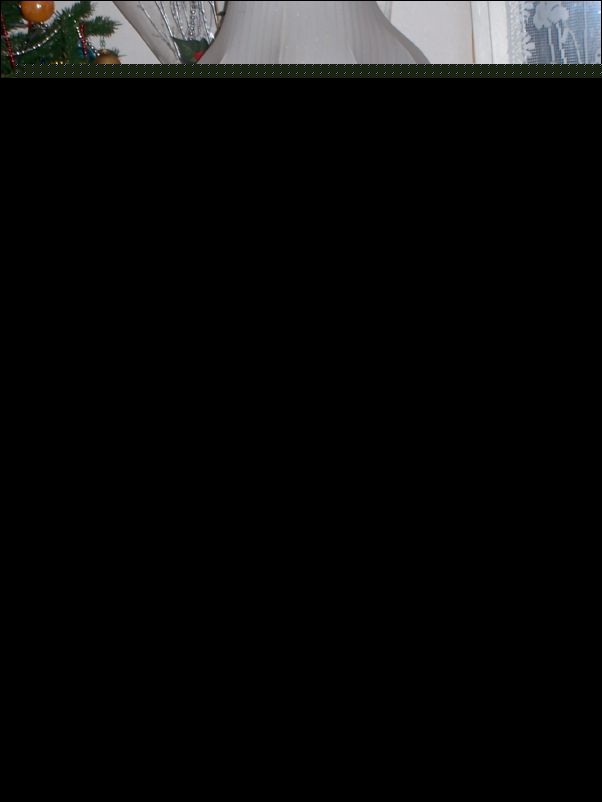 100_7395