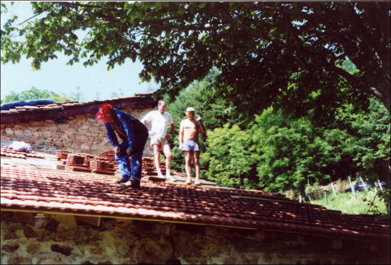 Pim0033